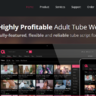 AVS Adult Video Script v8.1 Rus Nulled + Addons